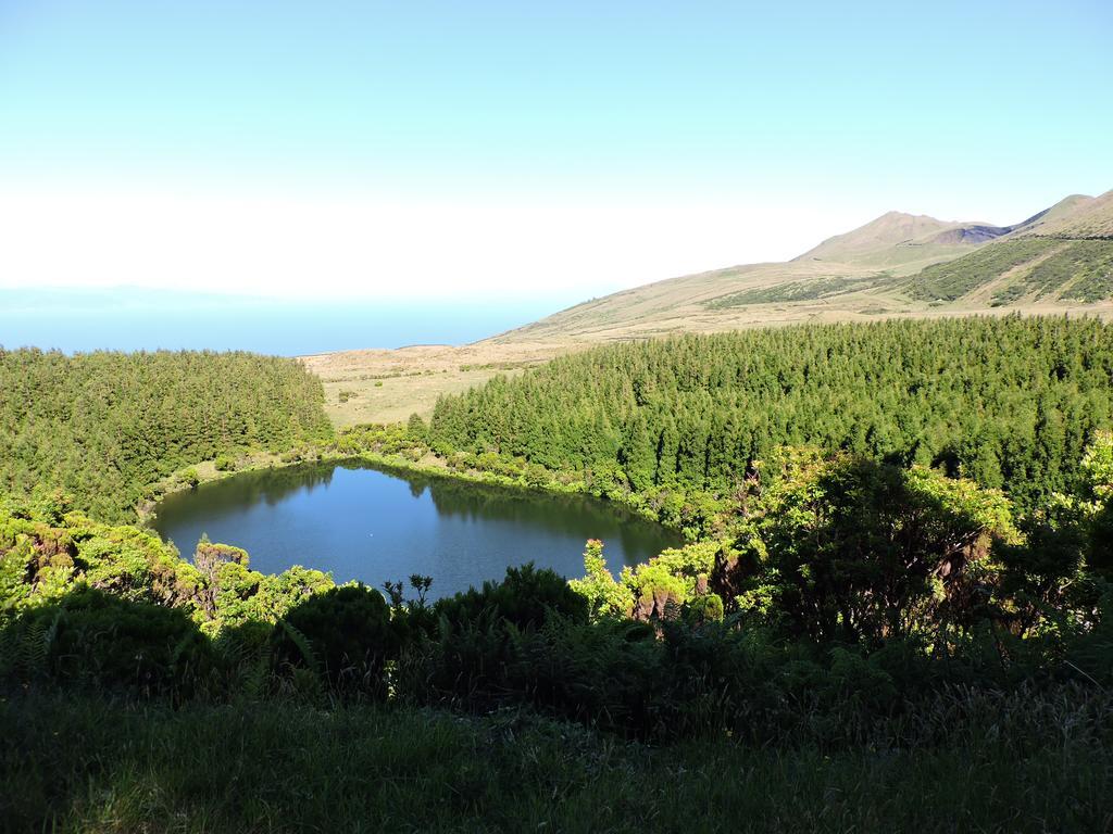 Oliveira Apartment Madalena (Azores)