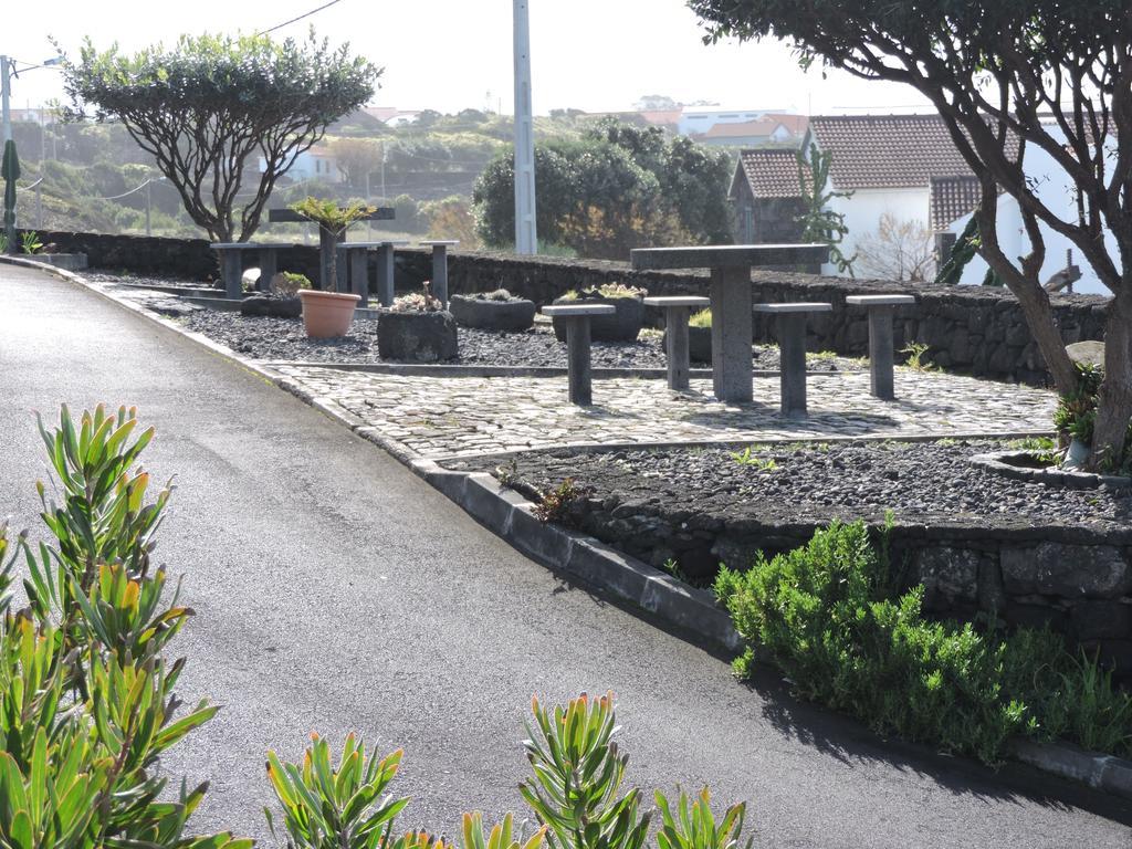 Oliveira *