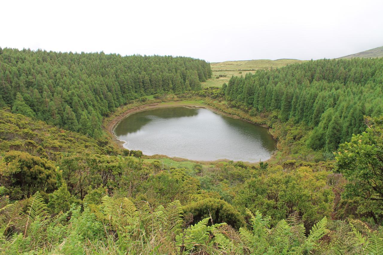 Oliveira * Madalena (Azores)